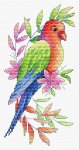 (image for) Parrot